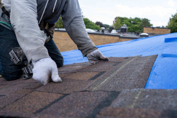 Best Affordable Roof Replacement  in Richwood, WV