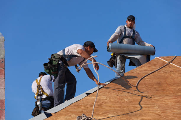 Best New Roof Installation  in Richwood, WV
