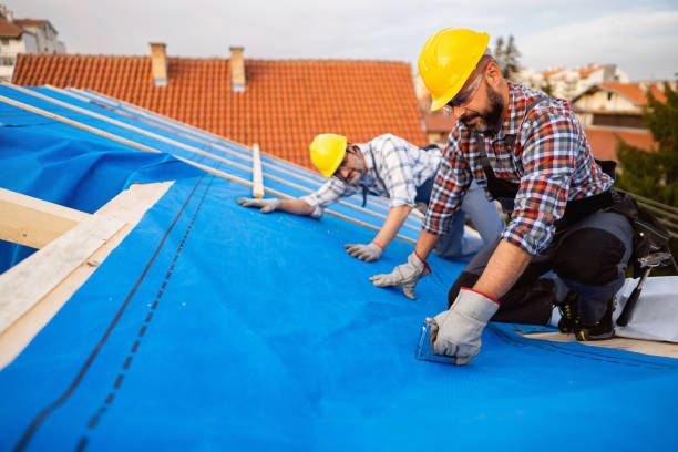 Best Local Roofing Companies  in Richwood, WV