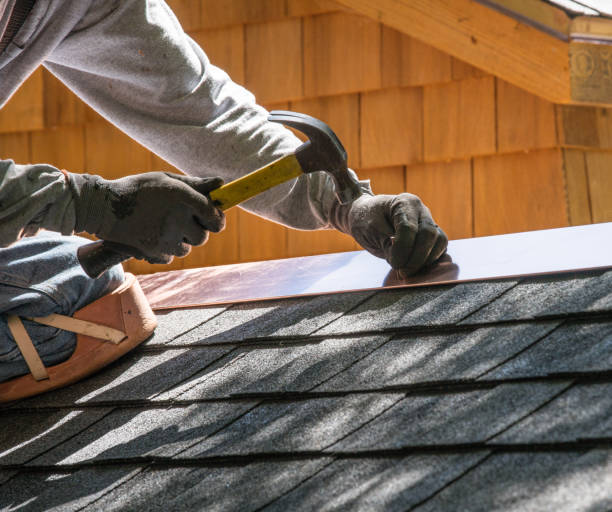 Best Roof Gutter Cleaning  in Richwood, WV